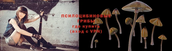 ГАЛЛЮЦИНОГЕННЫЕ ГРИБЫ Арсеньев