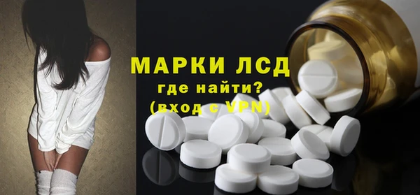 сатива Аркадак