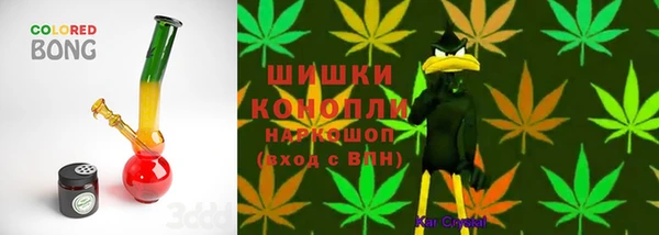 сатива Аркадак