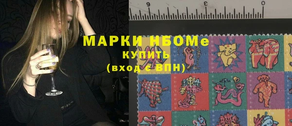 сатива Аркадак